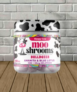 Alternative view of Moo’ Shrooms Amanita Muscaria Gummies 10ct