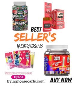 Bestseller Mixed Bundle B