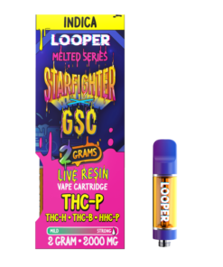 Alternative view of Melted Series 2G: Starfighter x GSC