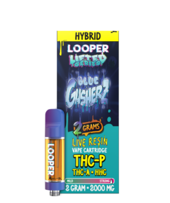 Lifted Series 2G: Blue Gusherz