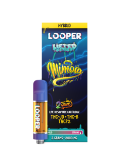 Lifted Series 2G: Mimosa