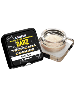Dabz Extracts: Tropicana Cookies