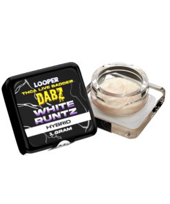 Dabz Extracts: White Runtz