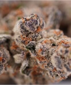 Alternative view of Strawberry Champagne