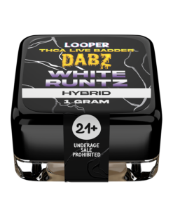 Dabz Extracts: White Runtz - Image 3